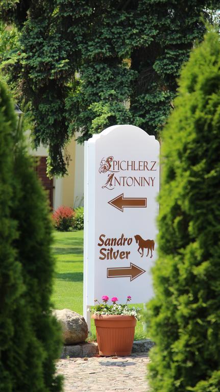 Hotel Sandro Silver & Spichlerz Antoniny Leszno  Eksteriør billede